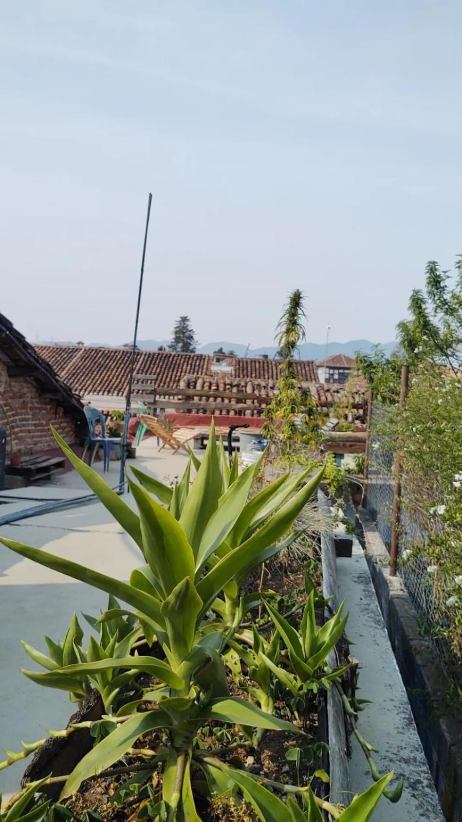 Hostal Posada Mi Casa San Cristóbal de Las Casas 외부 사진